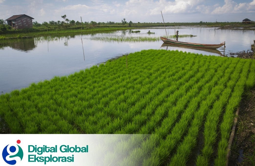 Pemetaan Lahan Rawa dengan Teknologi LiDAR di Palembang, ini Konsultannya